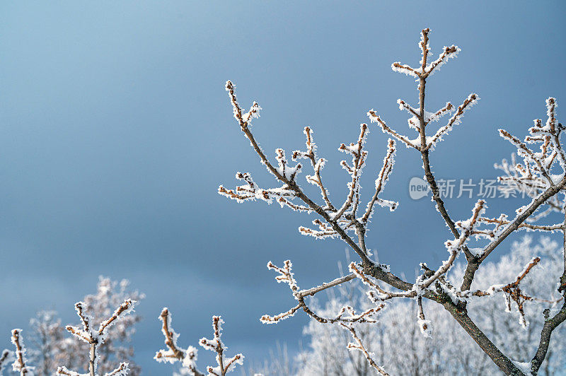 寒冷的季节——美丽的冬季风景