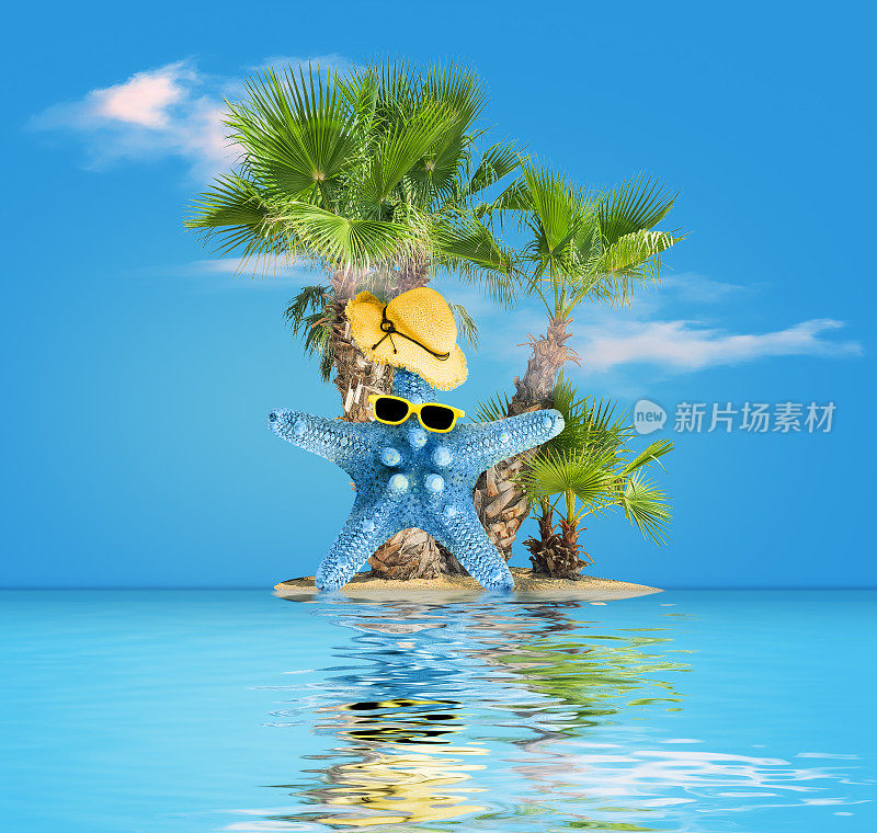 戴着太阳镜和帽子的海星在靠近热带棕榈树的岛上