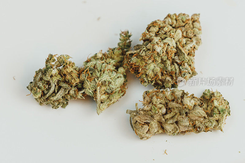 白色背景的大麻芽，特写。