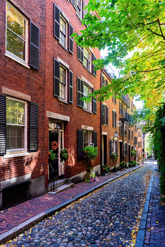 晴朗秋日的橡果街——比肯山——马萨诸塞州波士顿