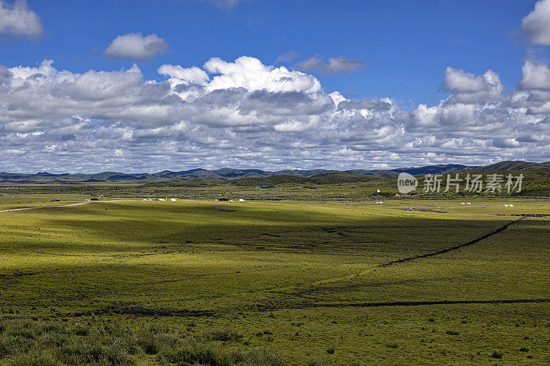 中国四川省西藏高原的草原