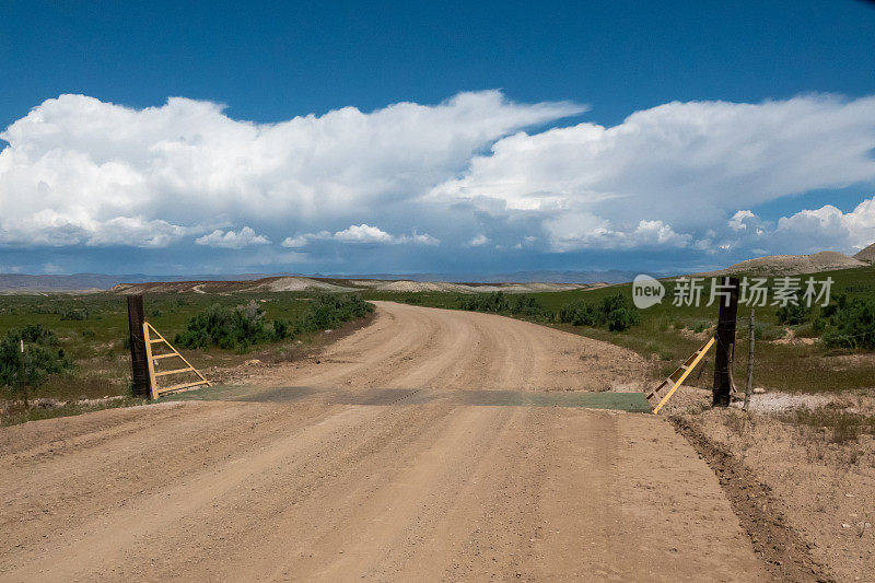 在偏僻的沙漠砾石路上看守牛群。绿河沙漠，犹他州。