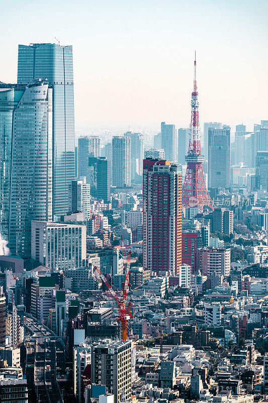 日本东京，东京塔的天际线