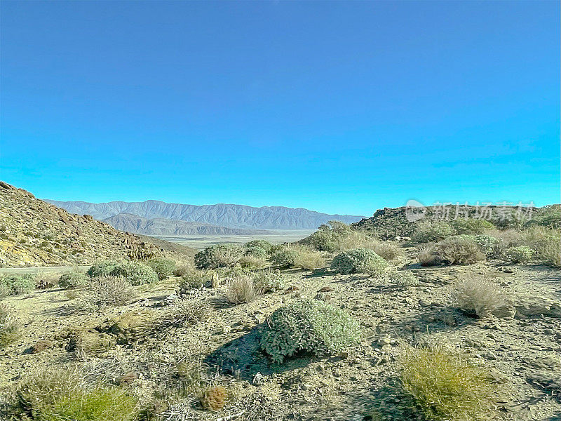 安扎博雷戈沙漠州立公园-加利福尼亚州