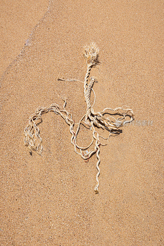 一根被冲到海滩上的绳子