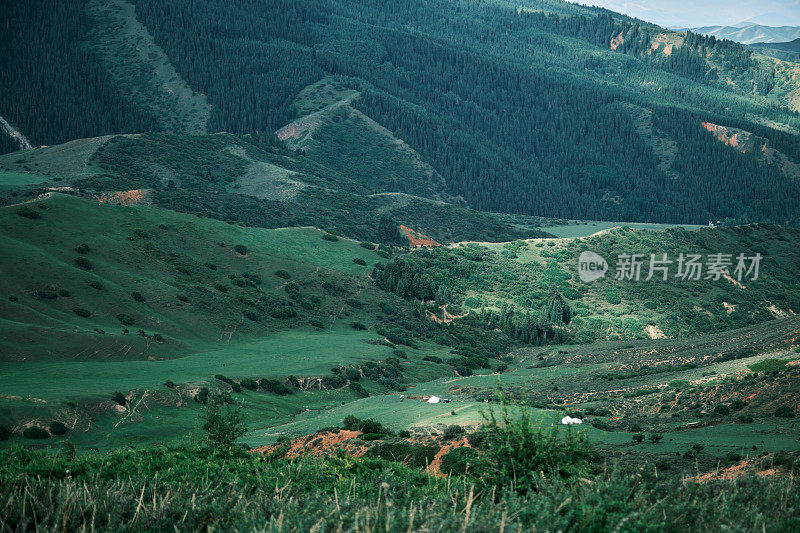 夏季山脊的高角度视图