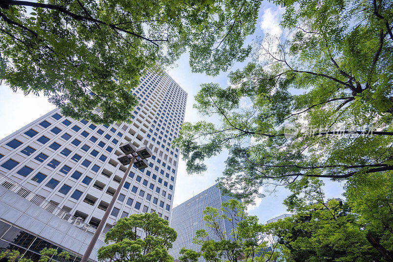 城市全景