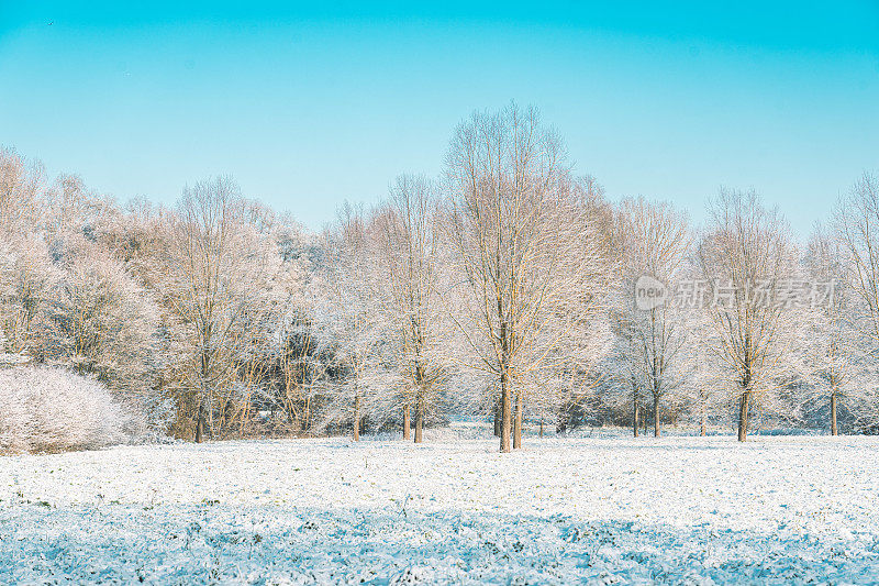 一个寒冷的早晨，本季的第一层雪