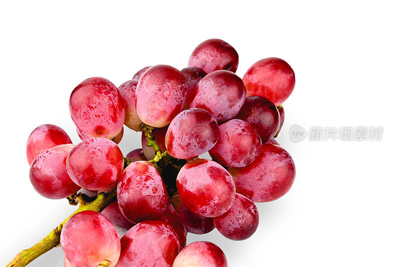 成熟的红葡萄在白色的背景上。