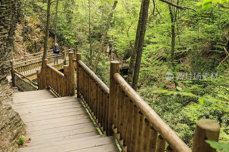 生态步道保护了宾夕法尼亚州布什基尔瀑布的环境:宾夕法尼亚州波科诺山脉的徒步旅行步道。