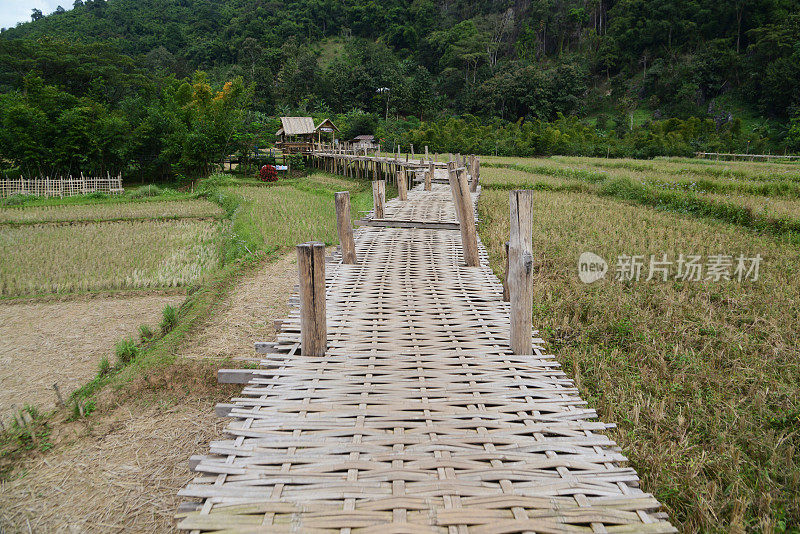 风景秀丽的竹桥向村望去。穿过稻田中间是一个美丽的自然之地。