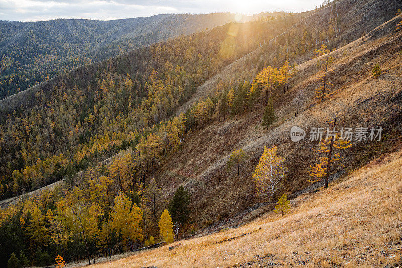 山地景观，早晨阳光在山上，秋天森林不在山坡上，黎明的阳光在白天。