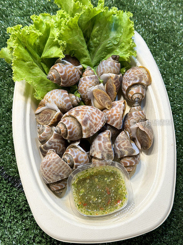 在白色盘子上的新鲜捕获的一堆贝类的特写图像，与生菜叶和一次性塑料蘸酱容器一起食用，甜的东盟虎蛤(海螺)，人造绿色草坪背景，高架视图