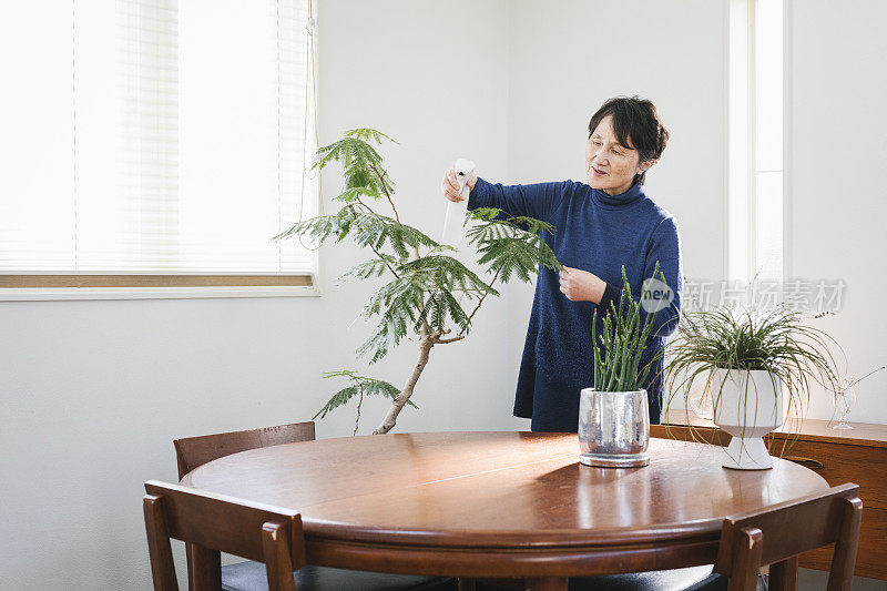 亚洲老年妇女在客厅里种花