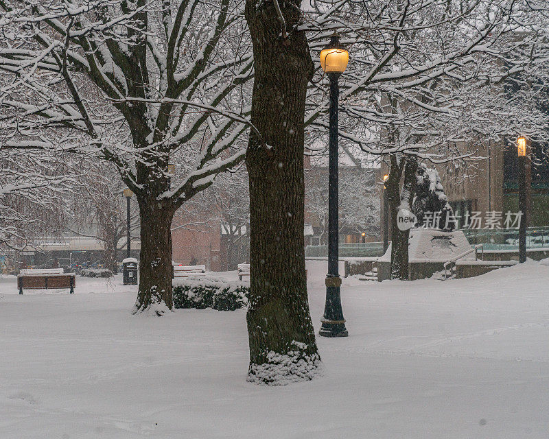 汉密尔顿，安大略——冬天的小城市公园