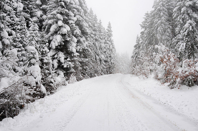 森林里的雪路