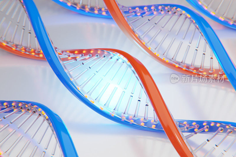 DNA序列螺旋DNA编码结构