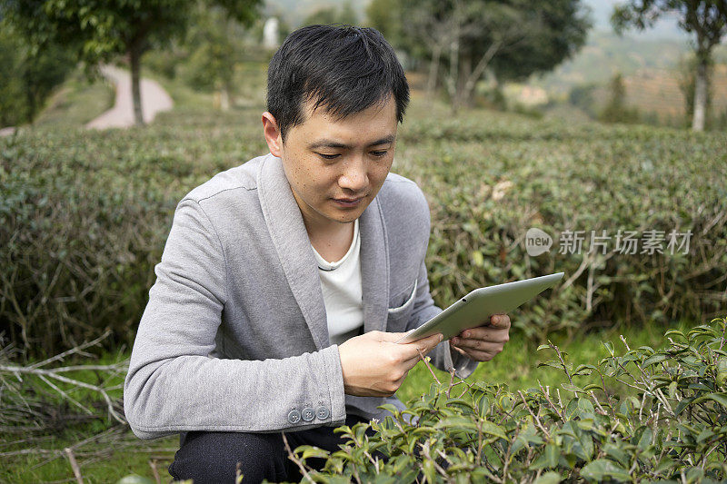 该研究所使用平板电脑来观察树叶的变化