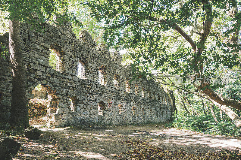 森林中的古老修道院遗址