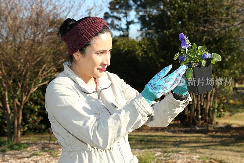 一名妇女通过种植三色堇开始了她的园艺工作