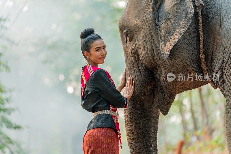 年轻美丽的亚洲女子在传统的泰国东北部伊桑服装触摸和纵容一个巨大的大象