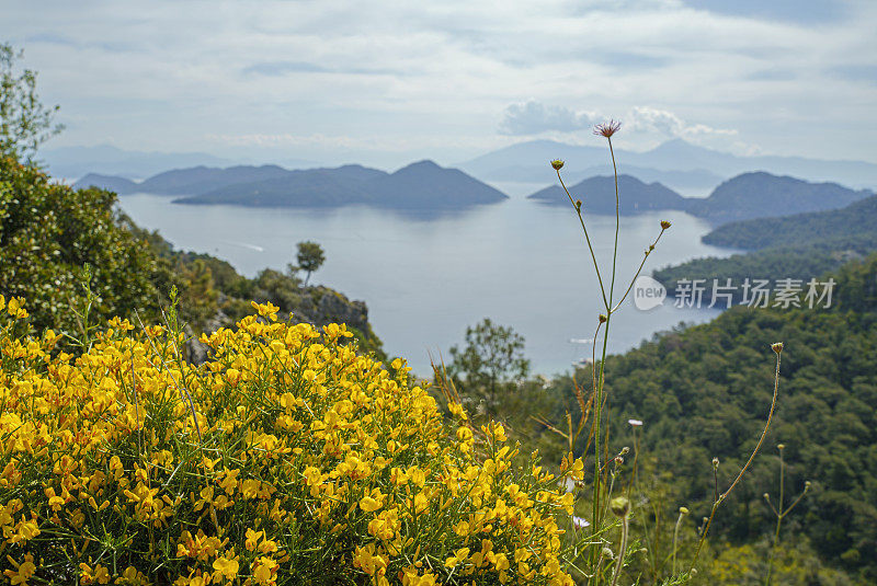 春天景观与萨尔萨拉湾为背景，达拉曼，穆拉，土耳其