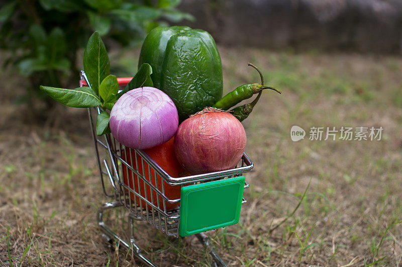 篮子里的新鲜蔬菜