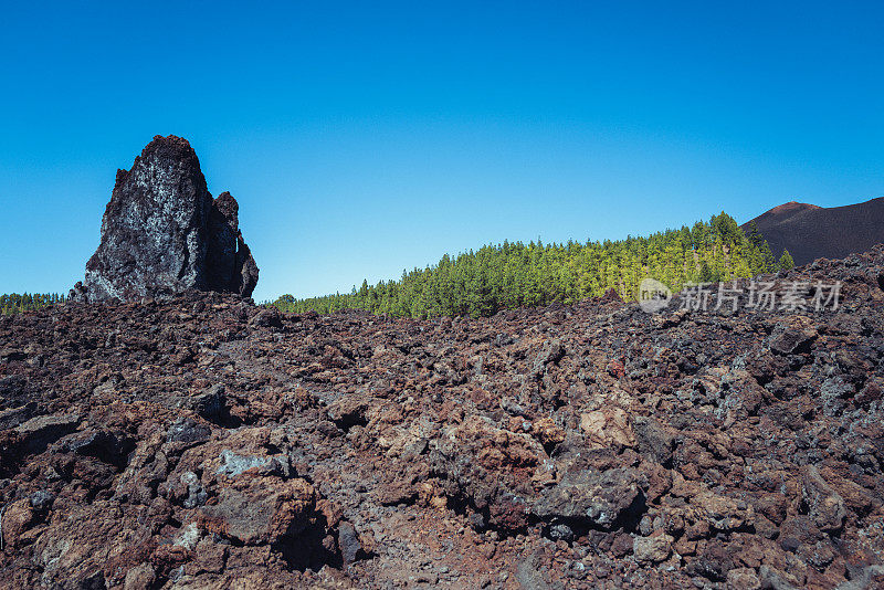 加那利群岛特内里费岛泰德国家公园的火山景观