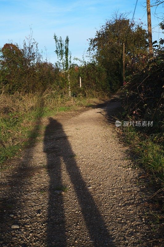 乡间小路