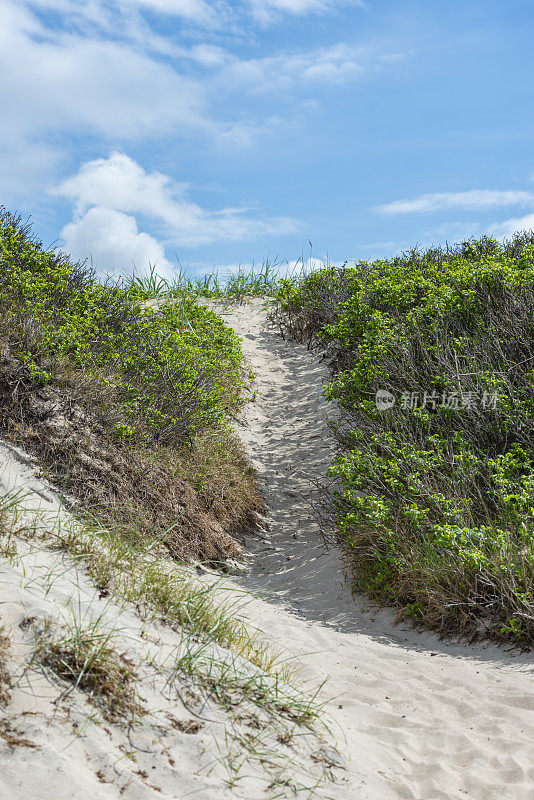 沙丘路径