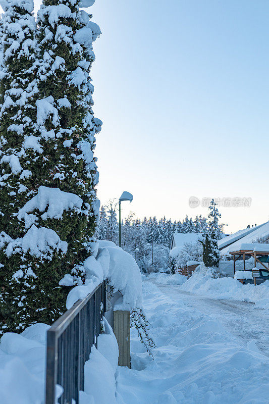 雪村，冰雪覆盖的道路和树木在田园诗般的冬天早晨