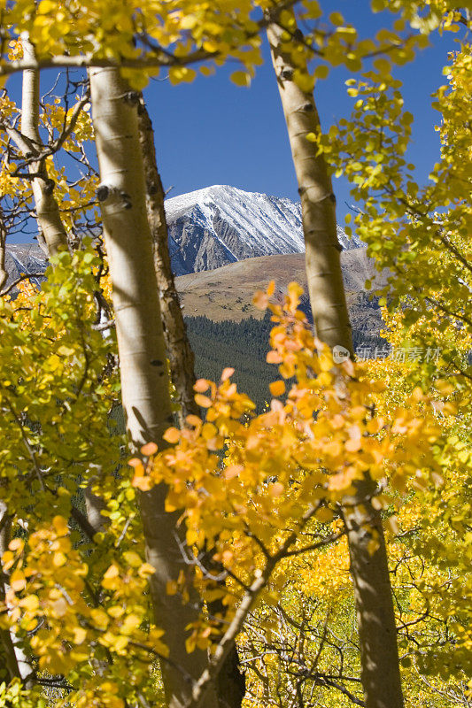 秋天的山峰