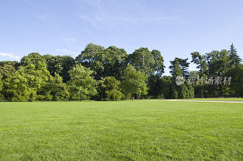 公园里的绿条纹草坪