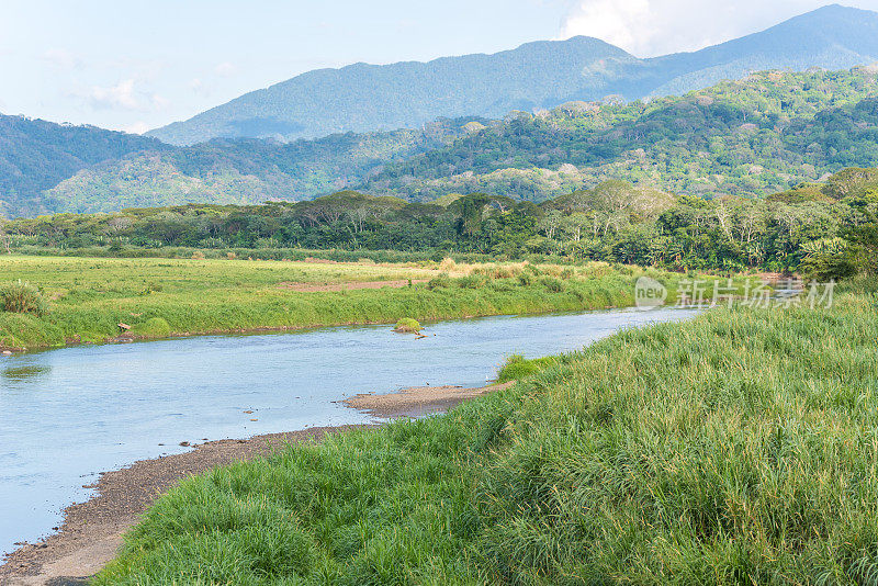哥斯达黎加热带雨林中的一条河