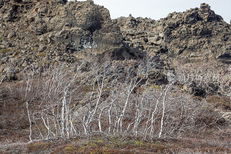 Dimmuborgir——冰岛著名的风景