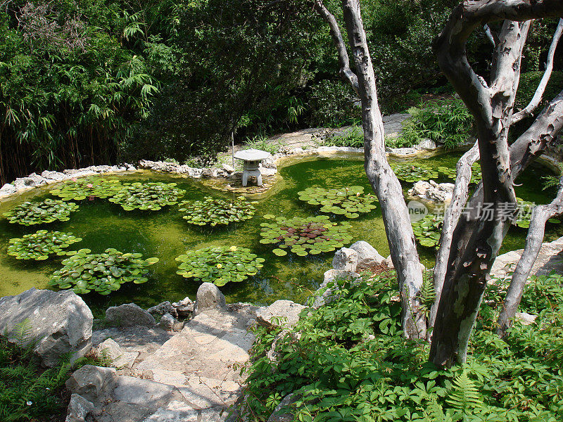 奇尔克植物园II，奥斯汀