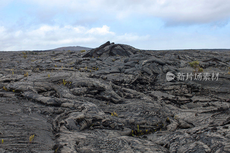 夏威夷火山国家公园的黑色熔岩流