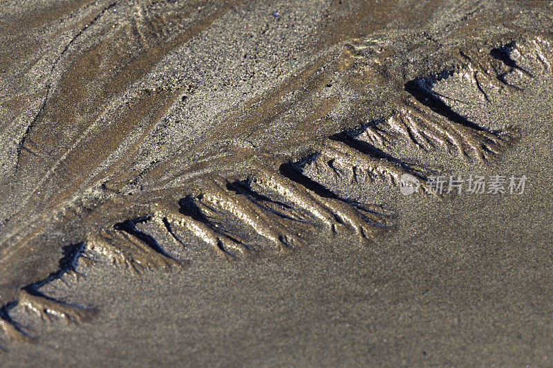 外来的沙子-美观的湿砂形成