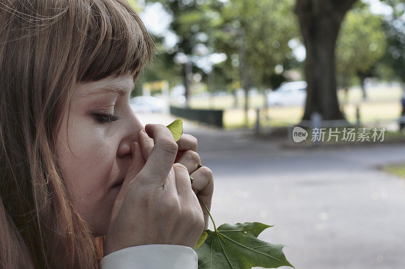 拉脱维亚户外犀牛女孩在修理枫树种子角