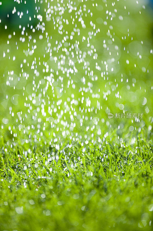 绿草浇水