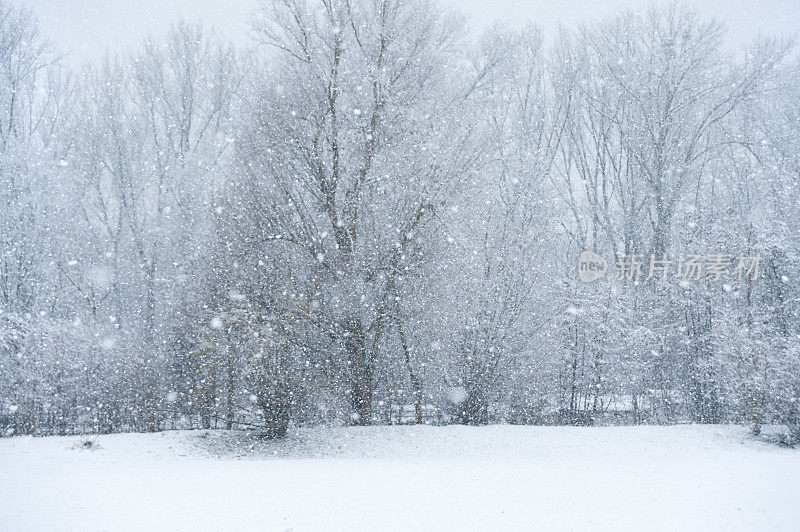 降雪