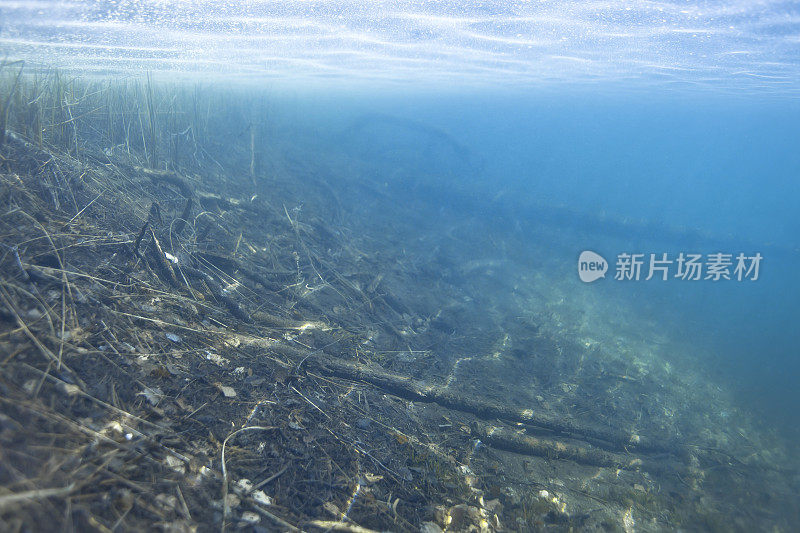 水下海岸线