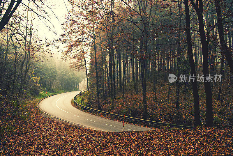 秋天危险潮湿的街道