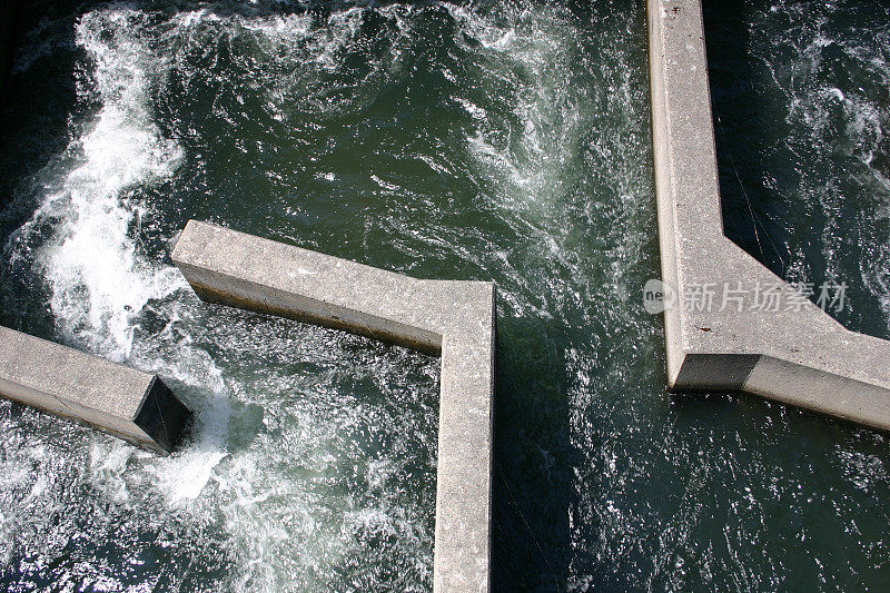 博纳维尔大坝的鱼梯。