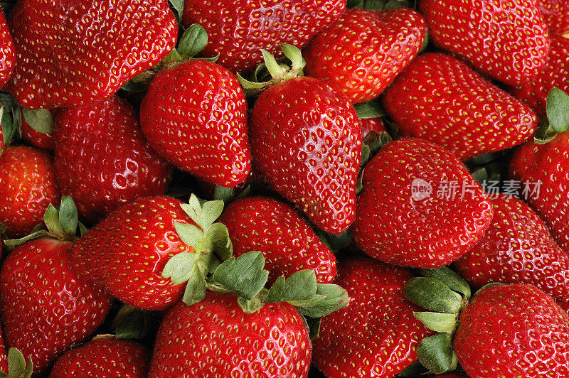 饱满的框架充满完美成熟的草莓