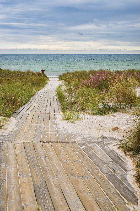 通往瑞典海滩的木制人行道