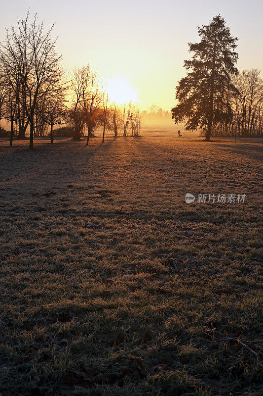 早安维景，蒙扎。彩色图像