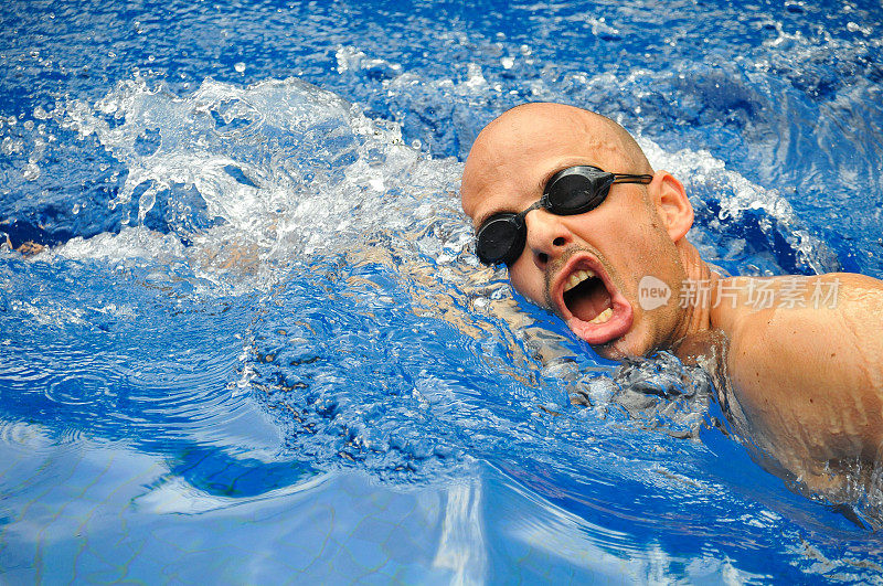 年轻的职业光头游泳运动员在游泳池里自由泳