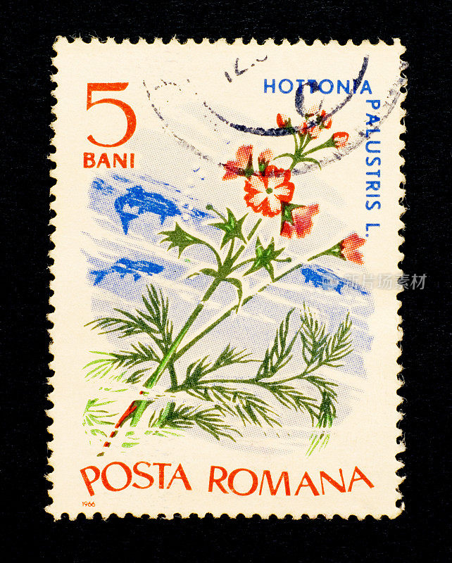 邮票:水草:泥盆花(罗马尼亚)