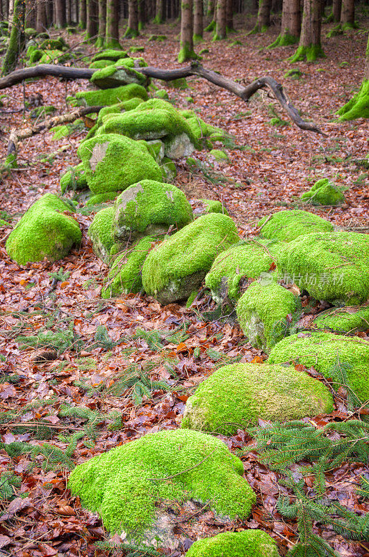 古老的石墙上覆盖着绿色的苔藓